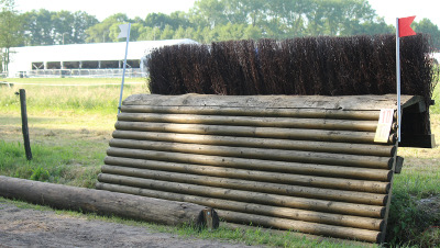 crosshindernissen bulfin met bezemborstel