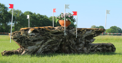 crosshindernissen ruw hout tafel